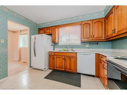 389 Dunvegan Drive, Waterloo, ON - Indoor Photo Showing Kitchen With Double Sink