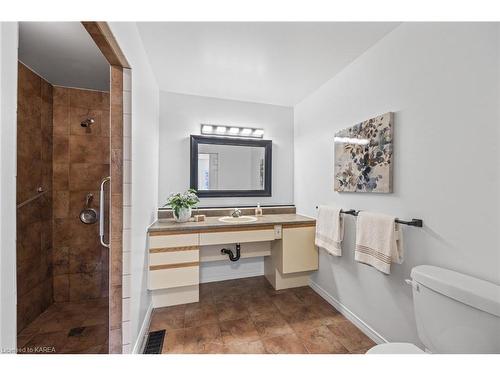 413 Davis Drive, Kingston, ON - Indoor Photo Showing Bathroom