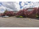 407-266 Guthrie Drive, Kingston, ON  - Outdoor 