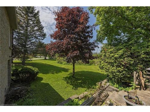 941 Malvern Terrace, Kingston, ON - Outdoor