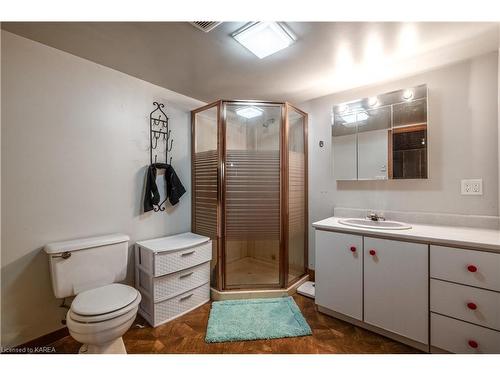 310 Arrowhead Place, Kingston, ON - Indoor Photo Showing Bathroom