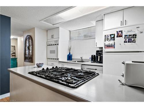 313 Owens Crescent, Kingston, ON - Indoor Photo Showing Kitchen