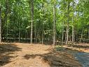 1496 Baptiste Lk Rd, Bancroft, ON 