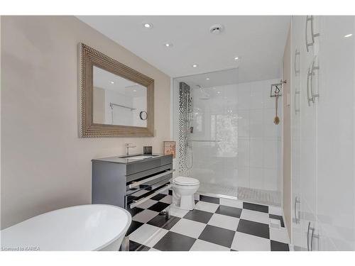 7955 Perth Road, South Frontenac, ON - Indoor Photo Showing Bathroom