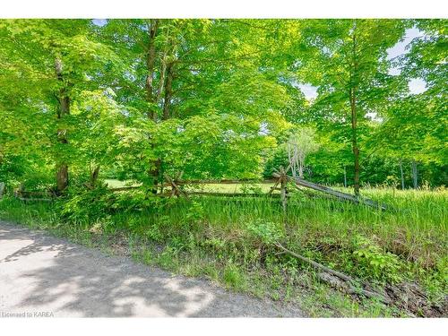 Lot 24 Lee Road, Westport, ON 