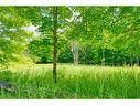 Lot 24 Lee Road, Westport, ON 