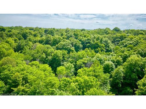 Lot 24 Lee Road, Westport, ON 