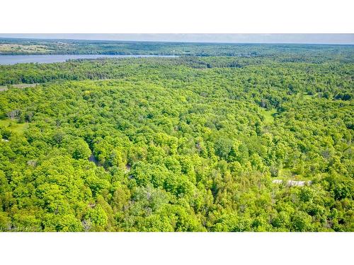 Lot 24 Lee Road, Westport, ON 