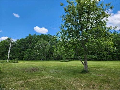 11712 Road 38, Tichborne, ON - Outdoor With View