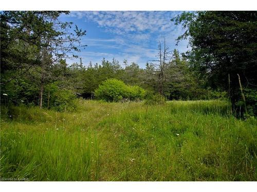 14005 Front Road, Stella, ON - Outdoor With View