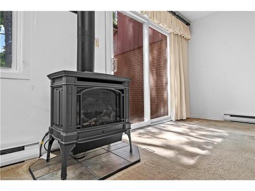 24-19 Macpherson Avenue, Kingston, ON - Indoor With Fireplace