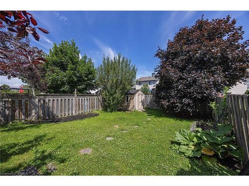 430 Laura Avenue, Kingston, ON - Outdoor With Backyard