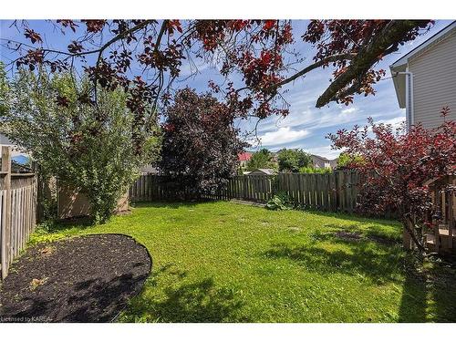 430 Laura Avenue, Kingston, ON - Outdoor With Backyard