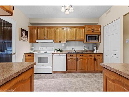 402-1000 King Street W, Kingston, ON - Indoor Photo Showing Kitchen With Double Sink