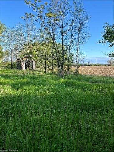 Pt Lt 5 Reeds Bay Road, Wolfe Island, ON 