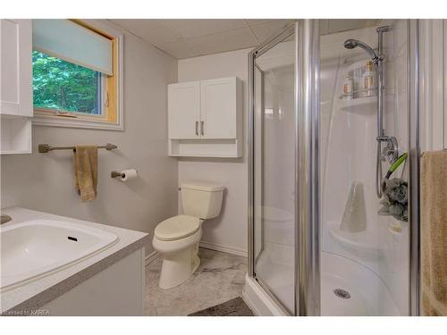 2 Old Mountain Road, Westport, ON - Indoor Photo Showing Bathroom