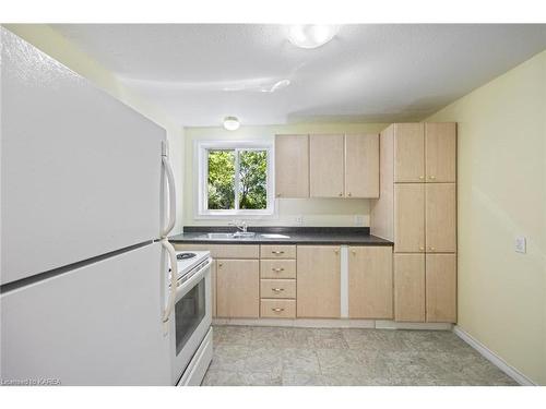 254 Weller Avenue, Kingston, ON - Indoor Photo Showing Kitchen With Double Sink