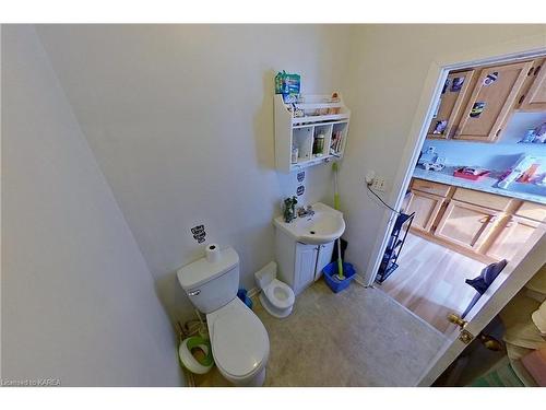 307 Division Street, Kingston, ON - Indoor Photo Showing Bathroom