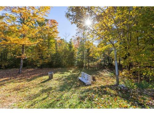 26 Skootamatta Lake Road, Cloyne, ON - Outdoor With View