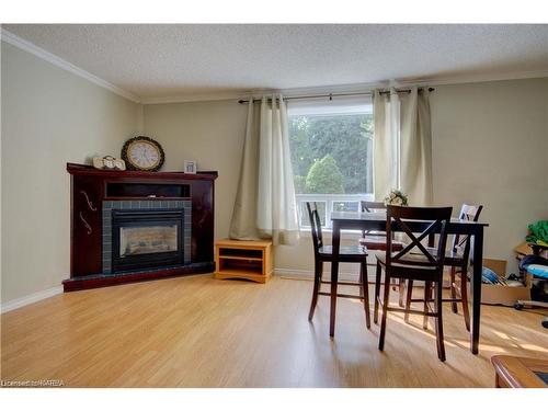 549 Alfred Street, Kingston, ON - Indoor With Fireplace