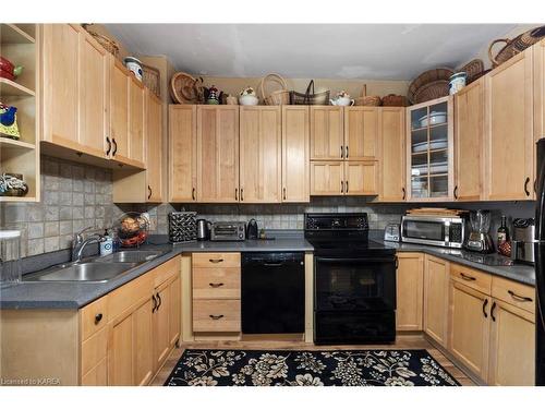 159 Montreal Street, Kingston, ON - Indoor Photo Showing Kitchen With Double Sink