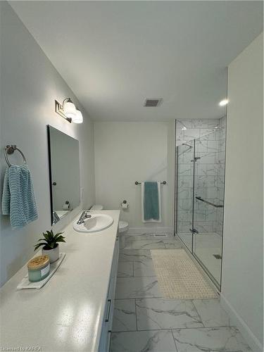 219 Superior Drive, Amherstview, ON - Indoor Photo Showing Bathroom