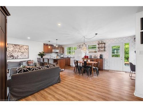 784 Downing Street, Kingston, ON - Indoor Photo Showing Living Room