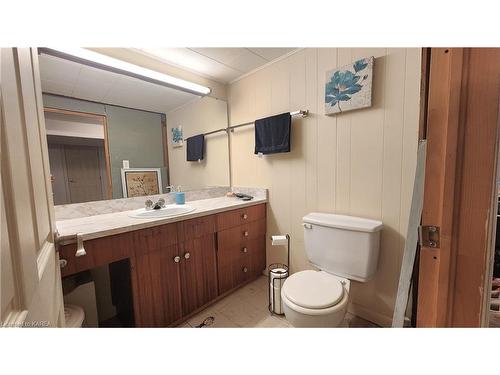 180 Hawthorne Avenue, Kingston, ON - Indoor Photo Showing Bathroom