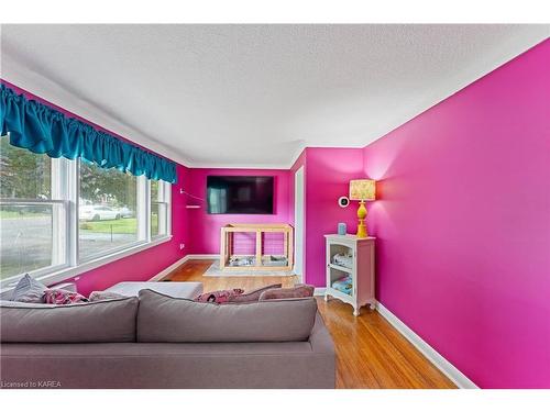 282 Lakeview Avenue, Kingston, ON - Indoor Photo Showing Living Room