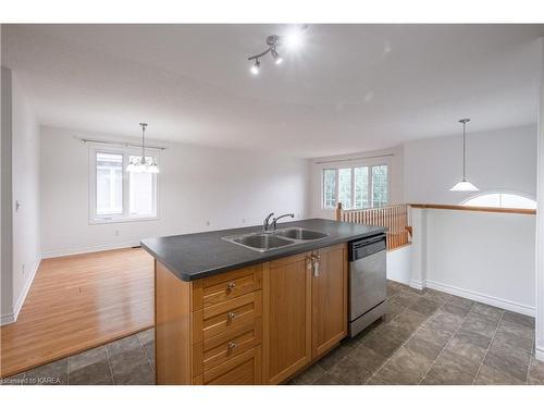 160 Briceland Street, Kingston, ON - Indoor Photo Showing Kitchen With Double Sink