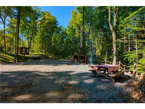 3608 Bell Line Rd, Mountain Grove, ON 