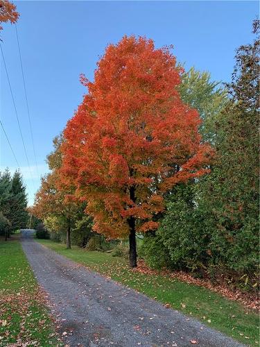 5439 County Road 9, Greater Napanee, ON - Outdoor