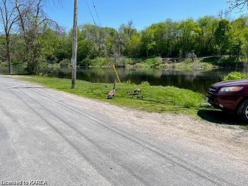 59 Centre Street N, Napanee, ON - Outdoor