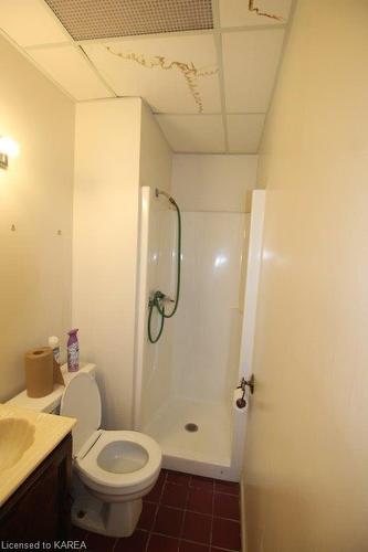 272 Wellington Street, Kingston, ON - Indoor Photo Showing Bathroom