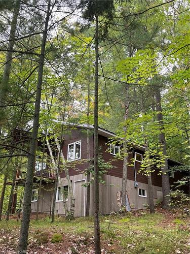 2305E Opinicon Road, Rideau Lakes, ON - Outdoor