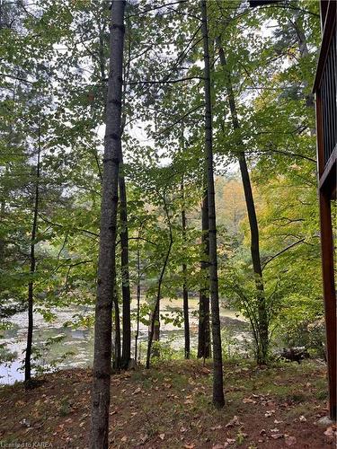 2305E Opinicon Road, Rideau Lakes, ON - Outdoor With View