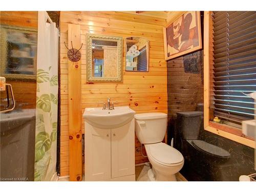 1054 Earl Bay Lane, Arden, ON - Indoor Photo Showing Bathroom