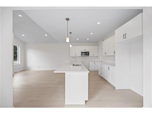 1393 Monarch Drive, Kingston, ON - Indoor Photo Showing Kitchen With Double Sink