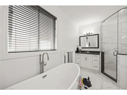 876 Roshan Drive, Kingston, ON - Indoor Photo Showing Bathroom