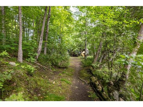 1020 Coutlee Point Lane, Sharbot Lake, ON - Outdoor