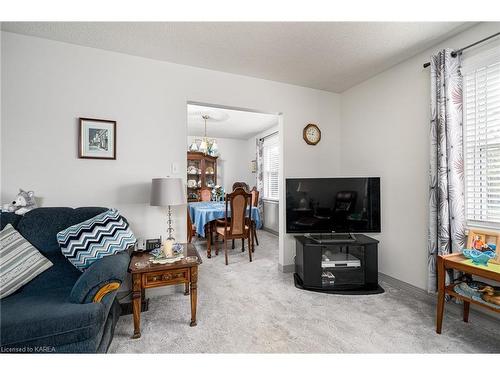 5810 County Rd 9, Napanee, ON - Indoor Photo Showing Living Room