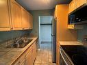 305-334 Queen Mary Road, Kingston, ON  - Indoor Photo Showing Kitchen With Double Sink 