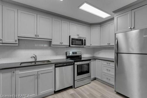 167 Sherman Street, Kingston, ON - Indoor Photo Showing Kitchen With Double Sink With Upgraded Kitchen