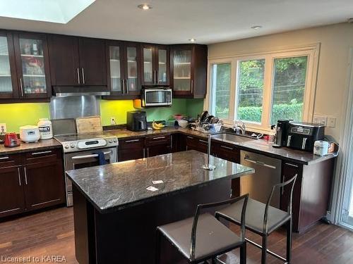 52 Beverley Street, Kingston, ON - Indoor Photo Showing Kitchen