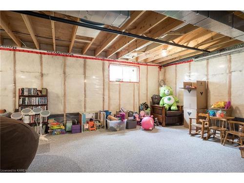 444 Bridge Street W, Napanee, ON - Indoor Photo Showing Basement