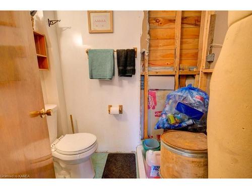 1340 Cannon Trail, Cloyne, ON - Indoor Photo Showing Bathroom