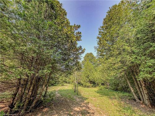 1977 Thorpe Road, Odessa, ON - Outdoor With View