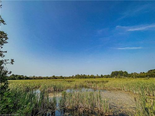 1977 Thorpe Road, Odessa, ON - Outdoor With View