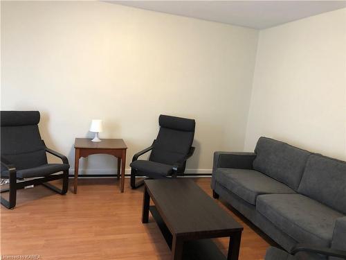 366 Barrie Street, Kingston, ON - Indoor Photo Showing Living Room