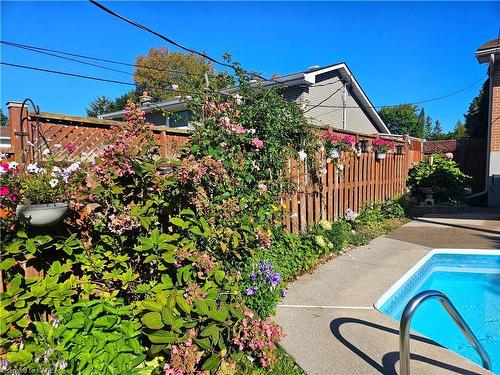 981 Hudson Drive, Kingston, ON - Outdoor With In Ground Pool